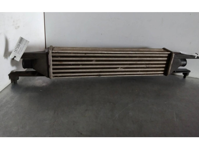 Интеркулер Fiat Punto (199)