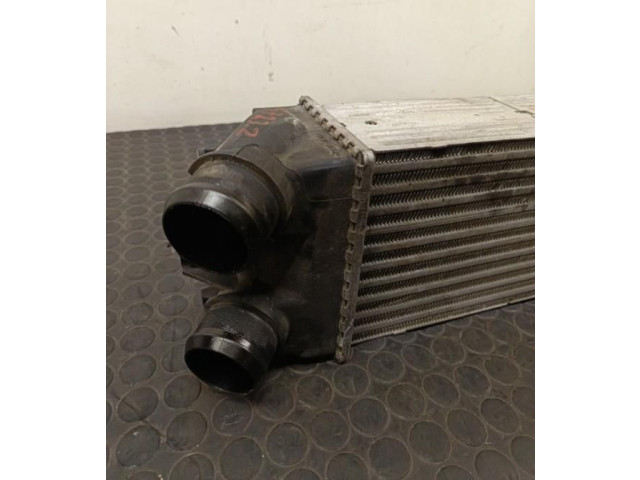 Интеркулер Citroen Berlingo