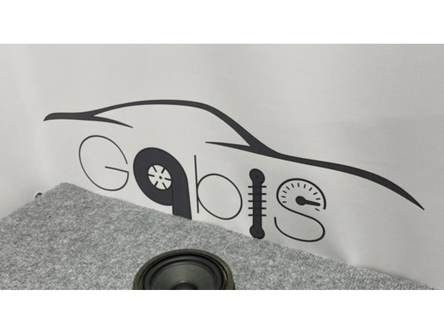 Громкоговоритель (громкоговорители) в передних дверях