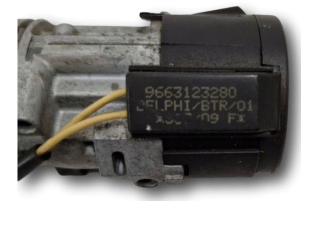 Řídící jednotka 9666975480, 966405878002   Citroen Berlingo 2012