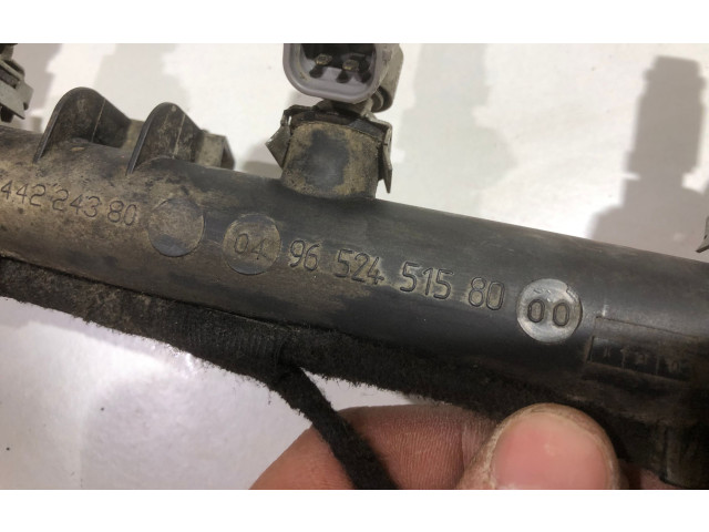 Комплект форсунок 9652451580, 1037A Citroen C4 I