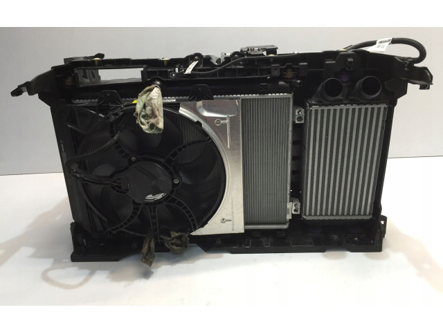 Vstřikovací čerpadlo 9824742280, 9834565780 Citroen C4 III e-C4