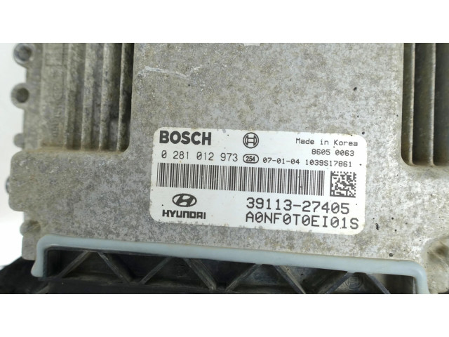 Řídící jednotka 0281012973   Hyundai Sonata LF 2018