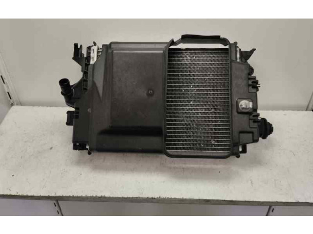 Интеркулер  214109135R   Renault Clio V 