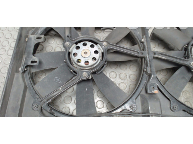 Вентилятор радиатора     2025050288    Mercedes-Benz C W202 