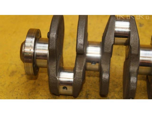 Kliková hřídel 038J Audi A4 S4 B6 8E 8H pro naftový motor 1.9