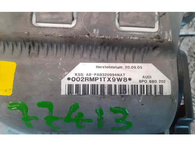 Подушка безопасности двери 8P0880202 Audi A3 S3 A3 Sportback 8P