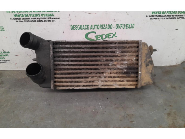 Интеркулер 9638758980 Citroen C3