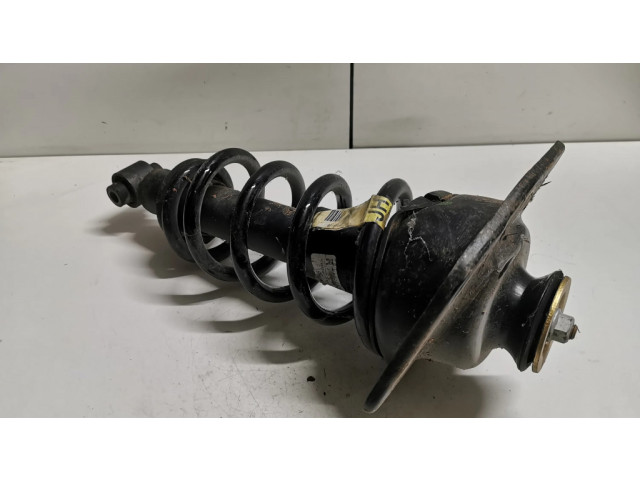 Задний aмортизатор      