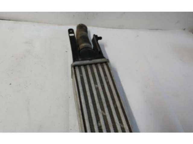 Интеркулер     Fiat Grande Punto 