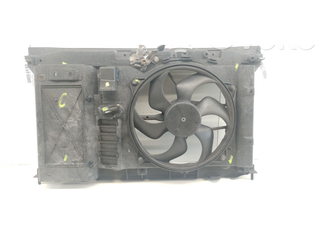 Вентилятор радиатора     1253A9, 1253A9    Citroen C4 Grand Picasso 