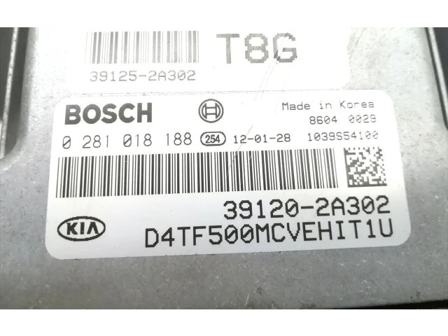 Блок управления двигателя 39120-2A302, 0281018188   KIA Carens II