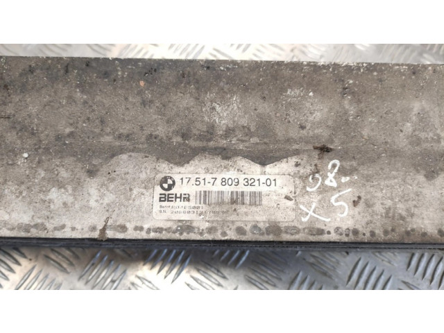 Интеркулер 17517809321, 7809321 BMW X5 E70 3.0