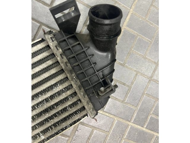 Интеркулер 9M519L440AC, T1851003 Volvo V50