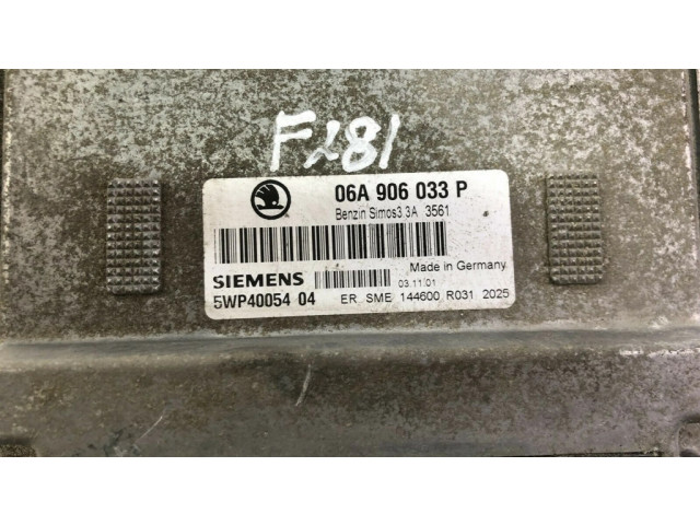Блок управления 06A906033P, F281 Skoda Octavia Mk1 (1U)