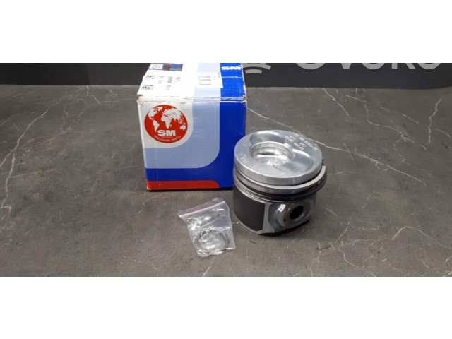 Píst Volkswagen Touareg I