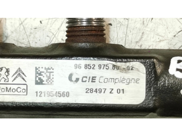 Vstřikovací lišta 9685297580, 121954560 Citroen Berlingo pro naftový motor 1.6