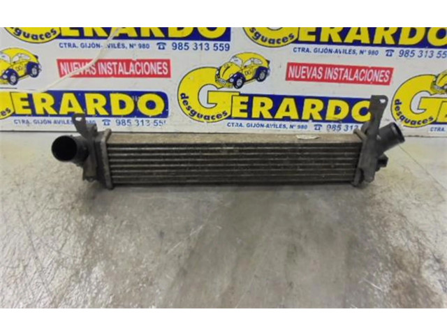 Форсунка 8200221885, 8200221885    Nissan Kubistar  K9K-704 