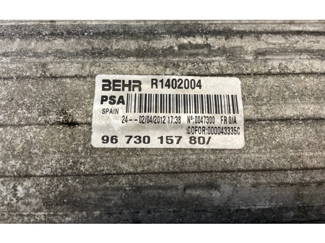 Интеркулер  9673015780, R1402004   Peugeot 5008 