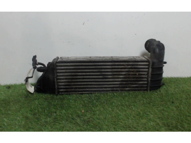 Интеркулер 00000384G0, 00000384G0 Citroen C8