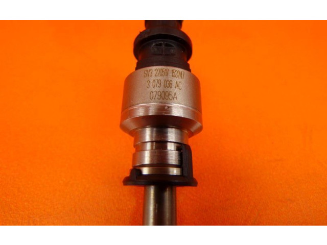 Форсунка 3079036AC, 3079036AC Audi A7 S7 4G CTGE
