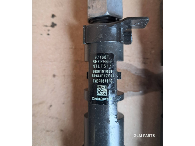 Комплект форсунок 9686191080 Citroen DS4