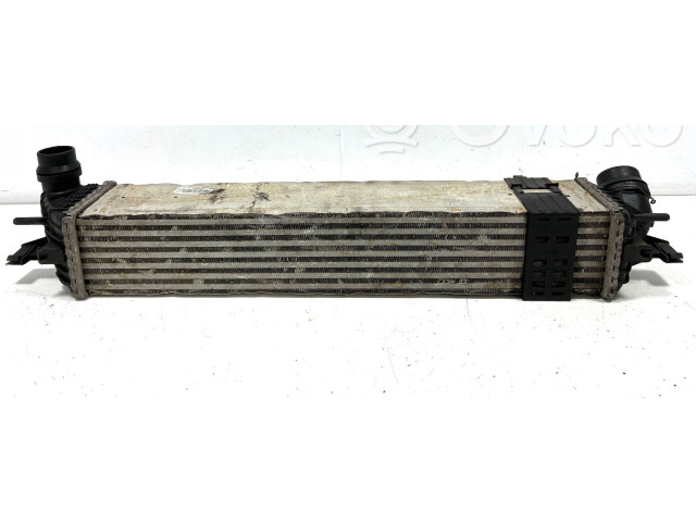 Интеркулер  144960001RG, 144960001R   Renault Laguna III 2.0