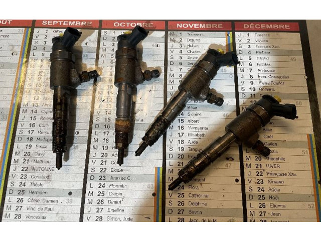 Жиклер (жиклеры) (форсунка (форсунки) 1980EJ, 1980EJ   Citroen C3