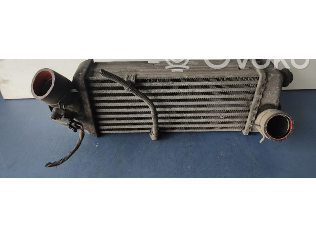 Интеркулер     KIA Rio 