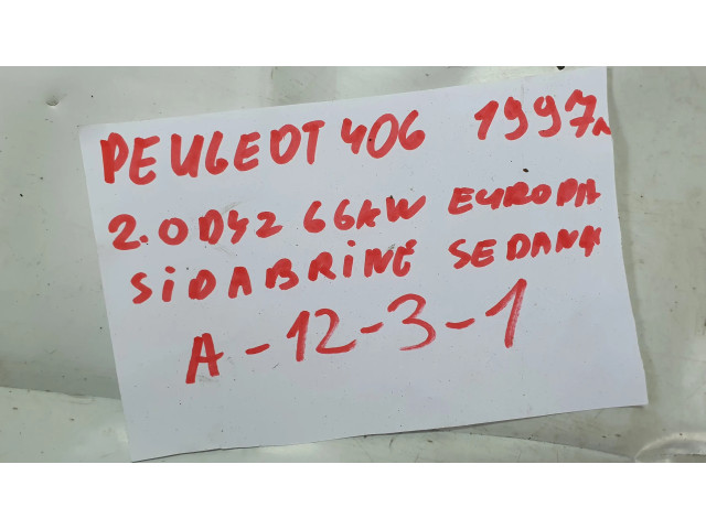 Řídící jednotka 0281001262, 9624519580 Peugeot 406 1997