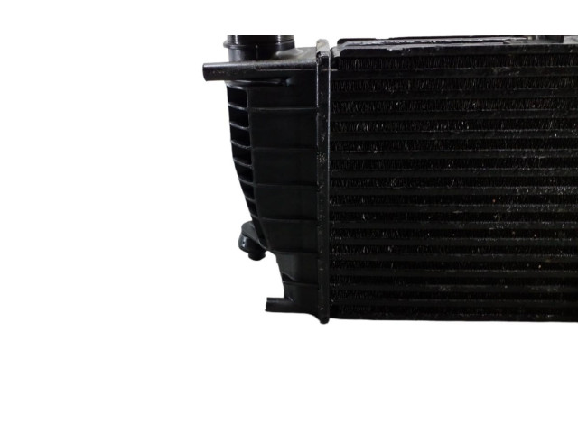 Интеркулер 144619U20A, DNA4340 Nissan Note (E11)