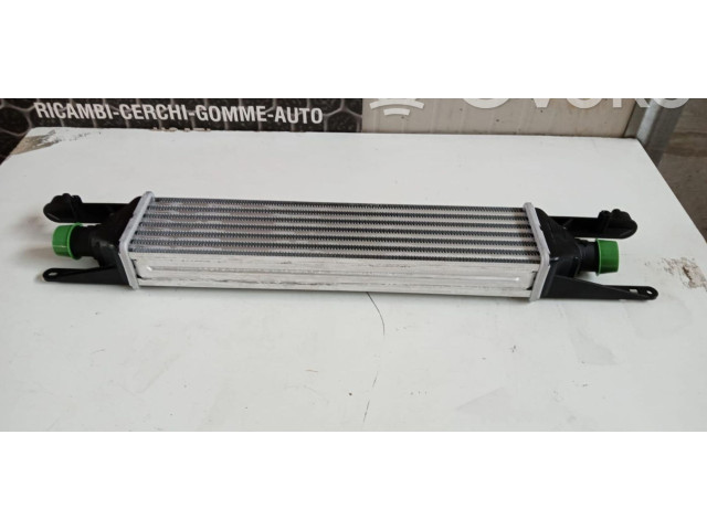 Интеркулер  55700449, 55700449   Fiat Punto Evo 