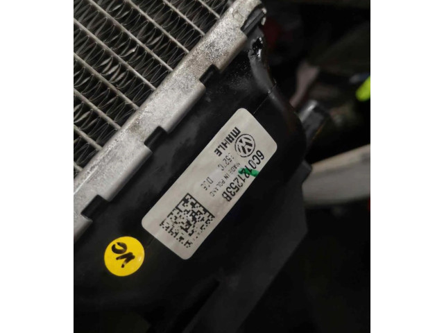 Интеркулер Skoda Rapid (NH)