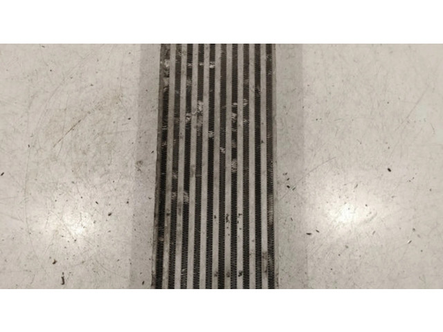 Интеркулер 1489396080 Citroen C8 2.0