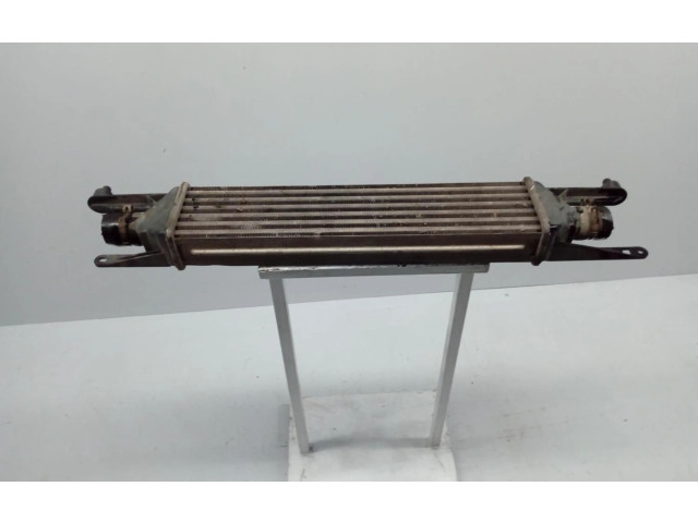 Интеркулер     Fiat Punto (199) 