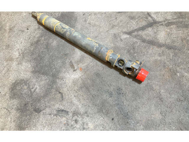 Форсунка 9686191080    Peugeot Expert   