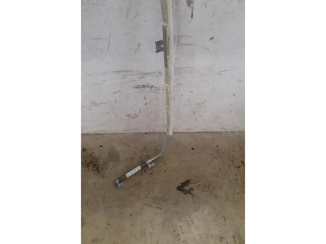 Боковая подушка безопасности    Skoda Octavia Mk2 (1Z)