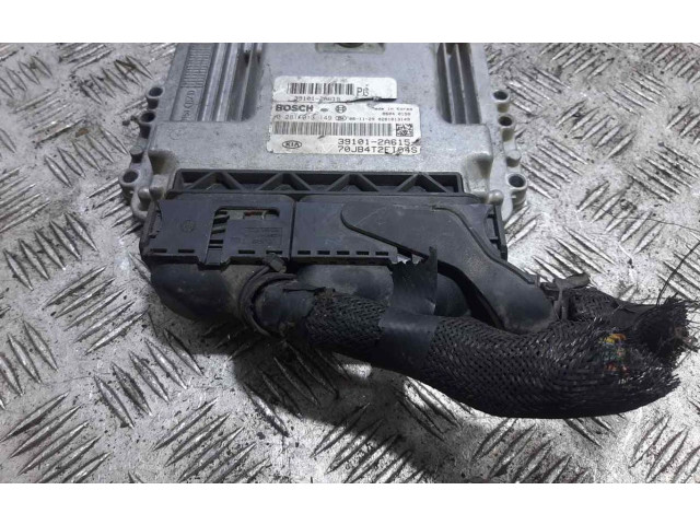 Блок управления двигателем Блок управления 391012A615 KIA Rio