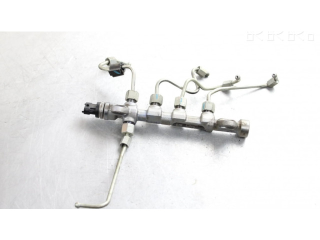 Топливная рампа 55234039   Fiat Freemont 2.0 