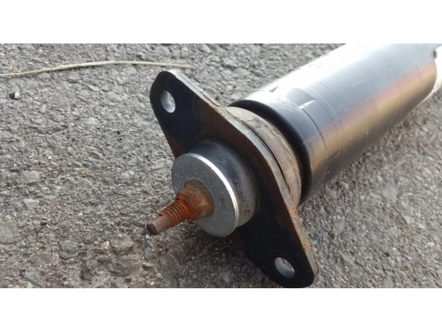 Задний aмортизатор      