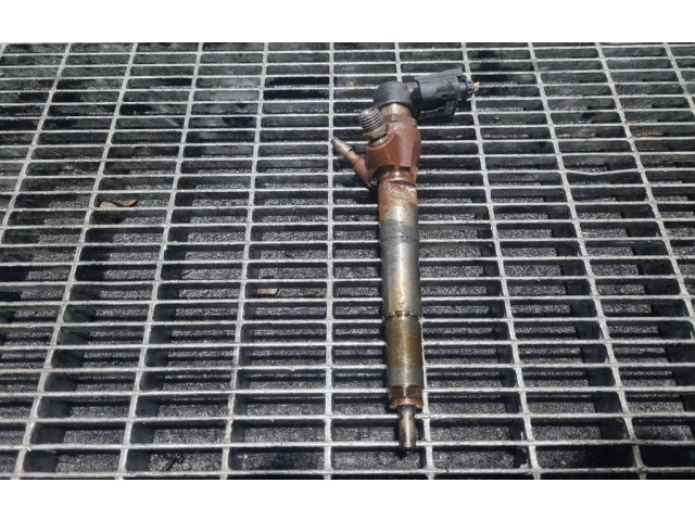 Жиклер (жиклеры) (форсунка (форсунки) H8201100113, 166006212R   Dacia Duster    