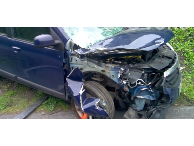 Панель приборов 248107594R   Dacia Lodgy       