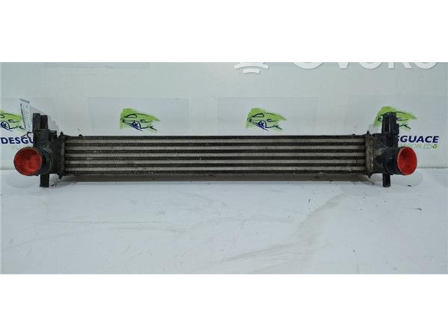 Интеркулер     Seat Ibiza IV (6J,6P) 