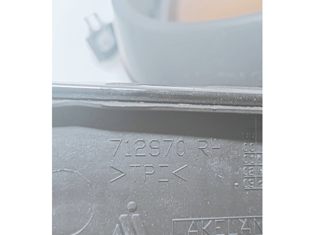 Zpětné zrcátko BMW X5 E53 2003 712970R