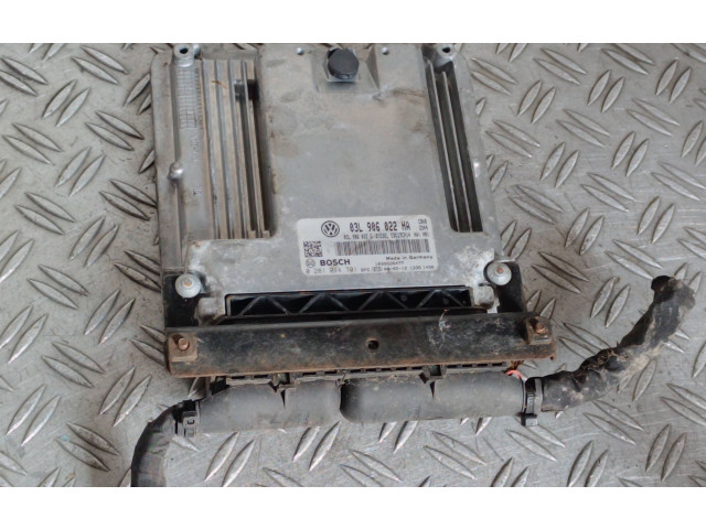 Řídící jednotka 03L906022HA, 03L906022G   Volkswagen Tiguan 2009
