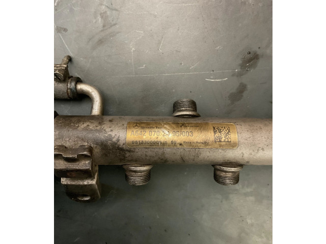 Vstřikovací lišta A6420702495 Mercedes-Benz R W251