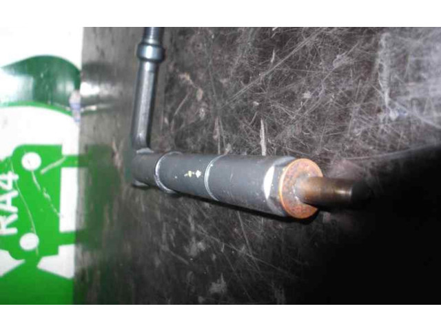 Vstřikovač 484391, 484391 Nissan Almera N16 YD22