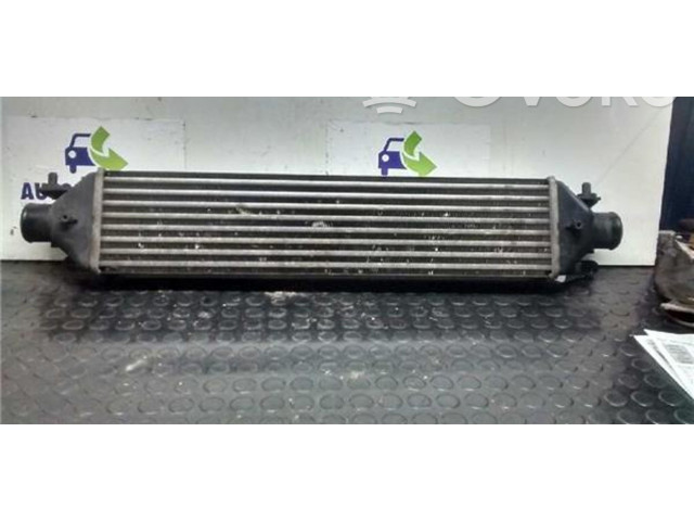 Интеркулер     Fiat Bravo - Brava 