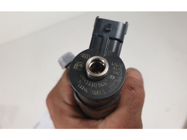 Комплект форсунок 0445110566 Citroen C4 II Picasso