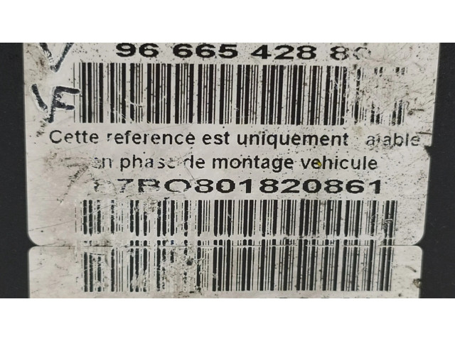 Блок АБС 9666542880 Ford Ecosport 2013-2017 года